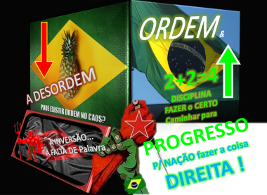Desordem X ORDEM Brasil Brazil politica economia ajustes